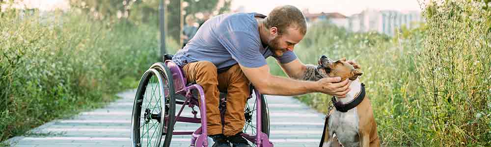 Who can qualify for a dual-eligible health plan or Dual Special Needs plan?